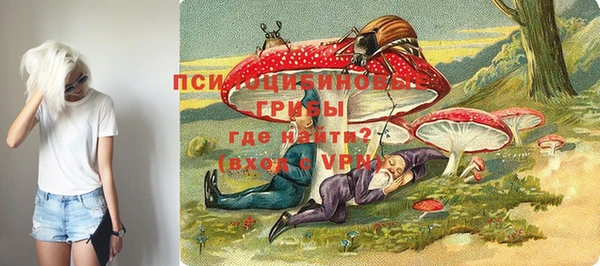 дмт Каменногорск
