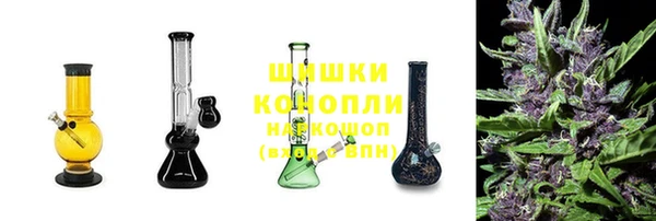 эйфоретик Касимов