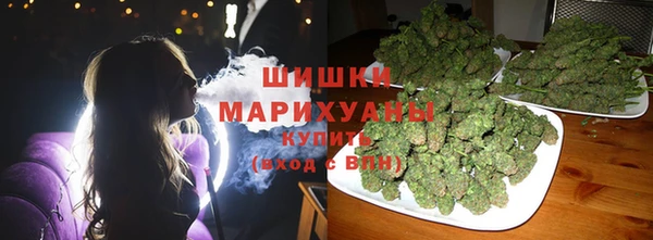 2c-b Каменка