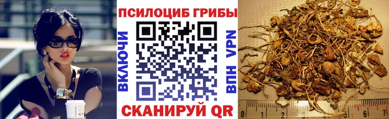 Псилоцибиновые грибы ЛСД  Купить где  Партизанск 