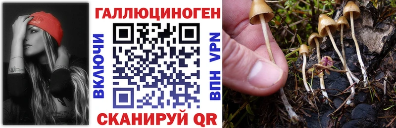 Галлюциногенные грибы GOLDEN TEACHER Партизанск